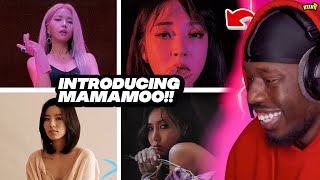 INTRODUCING MAMAMOO REACTION! (Part 1: Solar & Moonbyul) & (Part 2: Wheein & Hwasa)