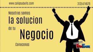 Asesorias Servicios Mascotas