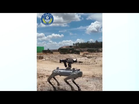 New robot dogs showcase military skills