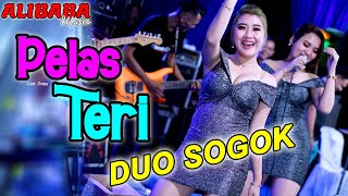 Download lagu Duo Sogok - Pelas Teri /alibaba Music Kolaborasi Ky Patih Gank Kumpo Erwin Bas N mp3