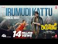 Irumudi Kattu by Ananthu
