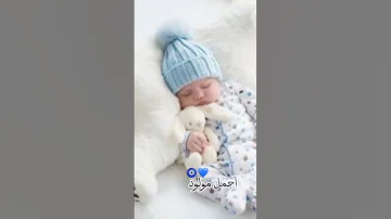 نورت دنيتنا 