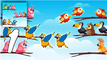 Bird Color Sort Puzzle Gameplay Walkthrough #1 - Level 1 ~ 18 (Android, IOS)