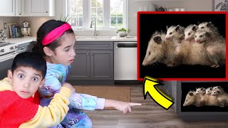 UNCOVERING a Massive OPOSSUM NEST!! *Shocking* | Jancy Family