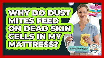 Why Do Dust Mites Feed On Dead Skin Cells In My Mattress? - Homekeeping Handbook