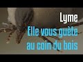 La maladie de Lyme - Special Investigation