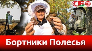 Бортники Полесья | Необычайные деревни