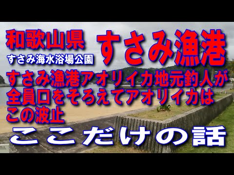 #57和歌山県すさみ漁港アオリイカの波止ここだけの話地元釣人が全員口をそろえてアオリイカはこの波止砂浜が素敵雄大な海と豊かな自然ファミリー家族の砂浜遊びに良い水面を渡る風が心地よい海が育んだ風土が癒し