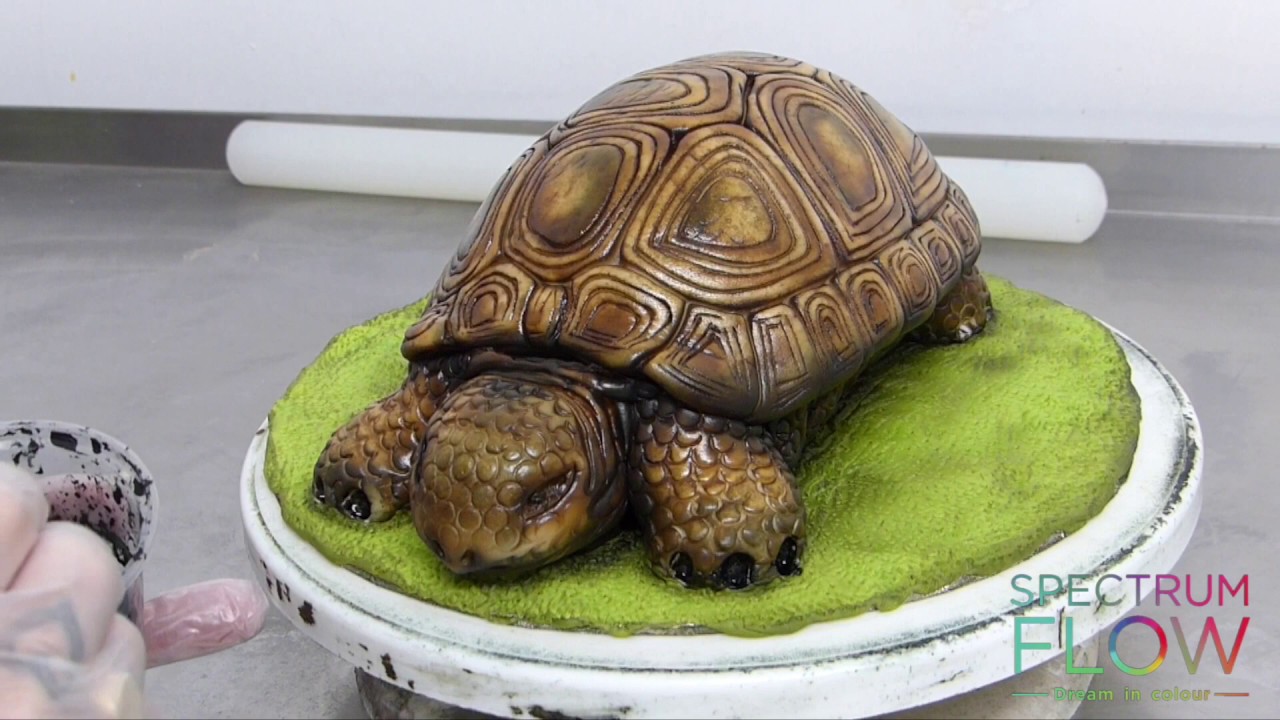 Turtle Cake – Rashida's Creations