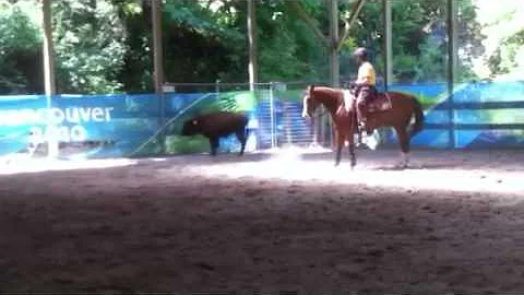 Lena and Nancy on Buffalo
