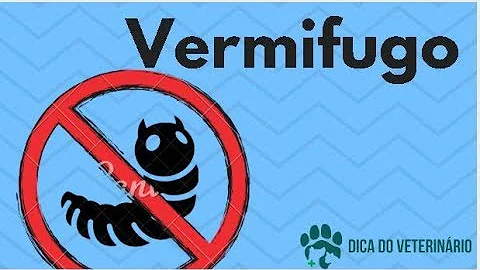 O que acontece quando o cachorro come terra?