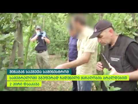 ჯგუფურად ჩადენილი ყაჩაღობის ბრალდებით 2 პირი დააკავეს