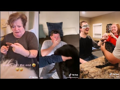 Fake poop in the orange prank | TikTok