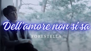 Forestella - Dell'amore non si sa [Sub Español]