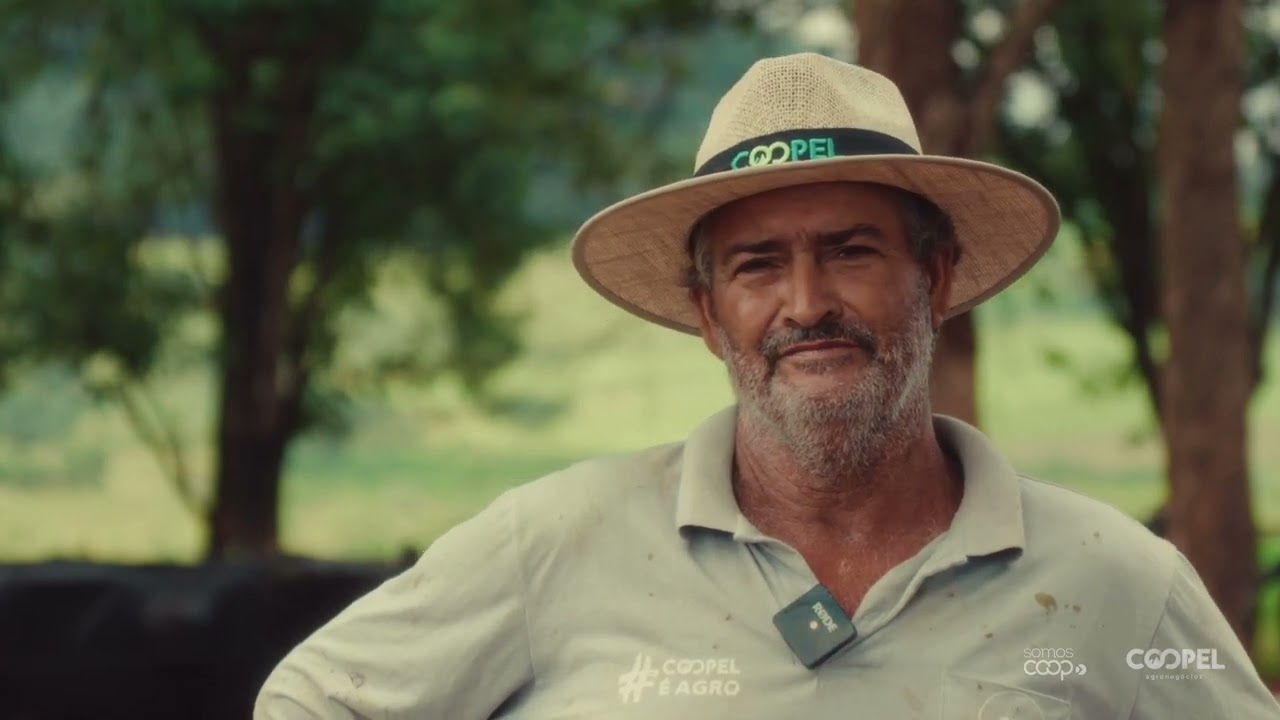 Histórias que crescem junto com a Coopel