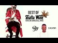 BEST OF SHATTA WALE VIDEO MIX BY DJ ACAPONY