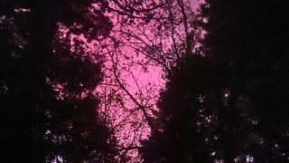 Flawed Mangoes Dramamine (Ultra Slowed)