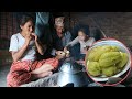 Family in the Jungle || Season - 2 || Video - 73 ||  Organic Village Food Chayote ||