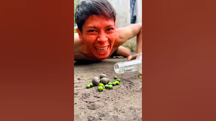 Pretending to sleep, this is how Native American tribes in America trick giant millipedes #shorts