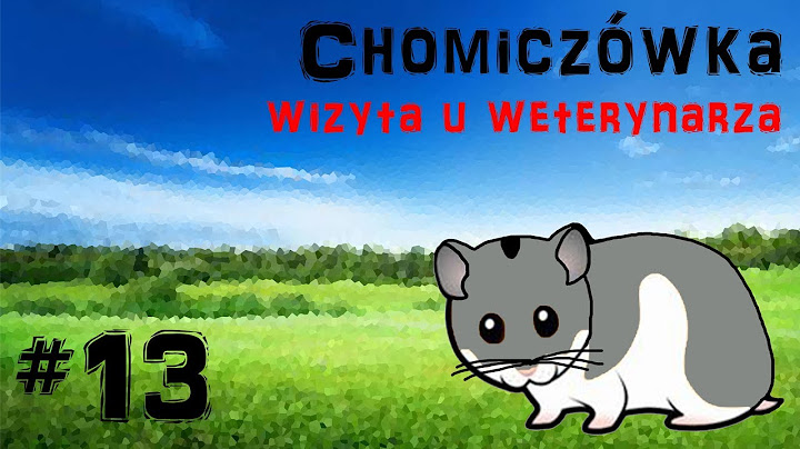 🐹 Chomiczówka #13 Wizyta u weterynarza