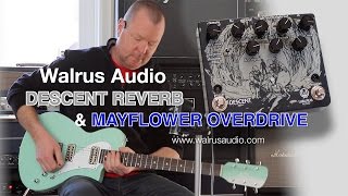 Walrus Audio: Descent Reverb and Mayflower OD