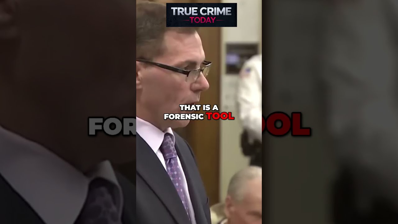 What Does Mr Green S Affidavit Reveal KarenRead