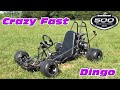 Trashed Picked Crazy Fast Dingo Go Kart ~ Dust Bowl 500
