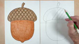 How to Draw an Acorn