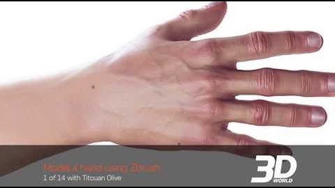 ZBrush tutorial: Render a hand, Part 1