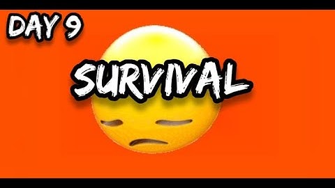 Survival Day 9 sad day mini block craft