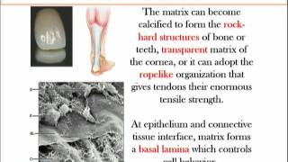 BIO734_Topic140