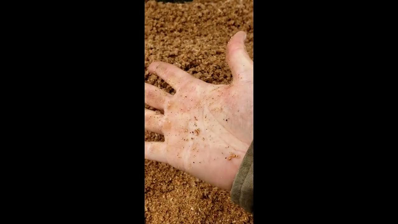 How we use Tractor Supply 40 Pelletized Animal /Equine Bedding Part 1 YouTube