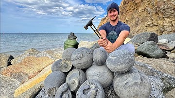 2 Day Fossil Hunting! Huge LANDSLIDE & Giant Nodules, Fossil Lab Prep, Cephalopods, Bones and Squid!