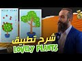   lovely plants      10  