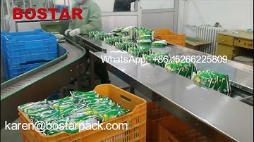 Incredible Automatic Dry Instant Noodle Machines (Complete Set of packaging Line)