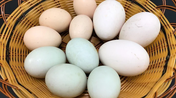 鸡蛋、鸭蛋、鹅蛋，鹅蛋营养最高？养殖户说漏嘴，以后别再吃错了 - 天天要闻