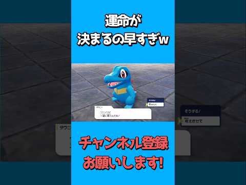 軽々と婚約してしまうガロン #ポケモン #pokemon #shorts