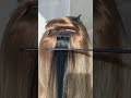 Natural invisible tape in hair extensions, our factory also has more hair colors for you to choose.