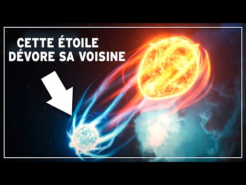Vidéo: Incroyable à proximité : plancton lumineux