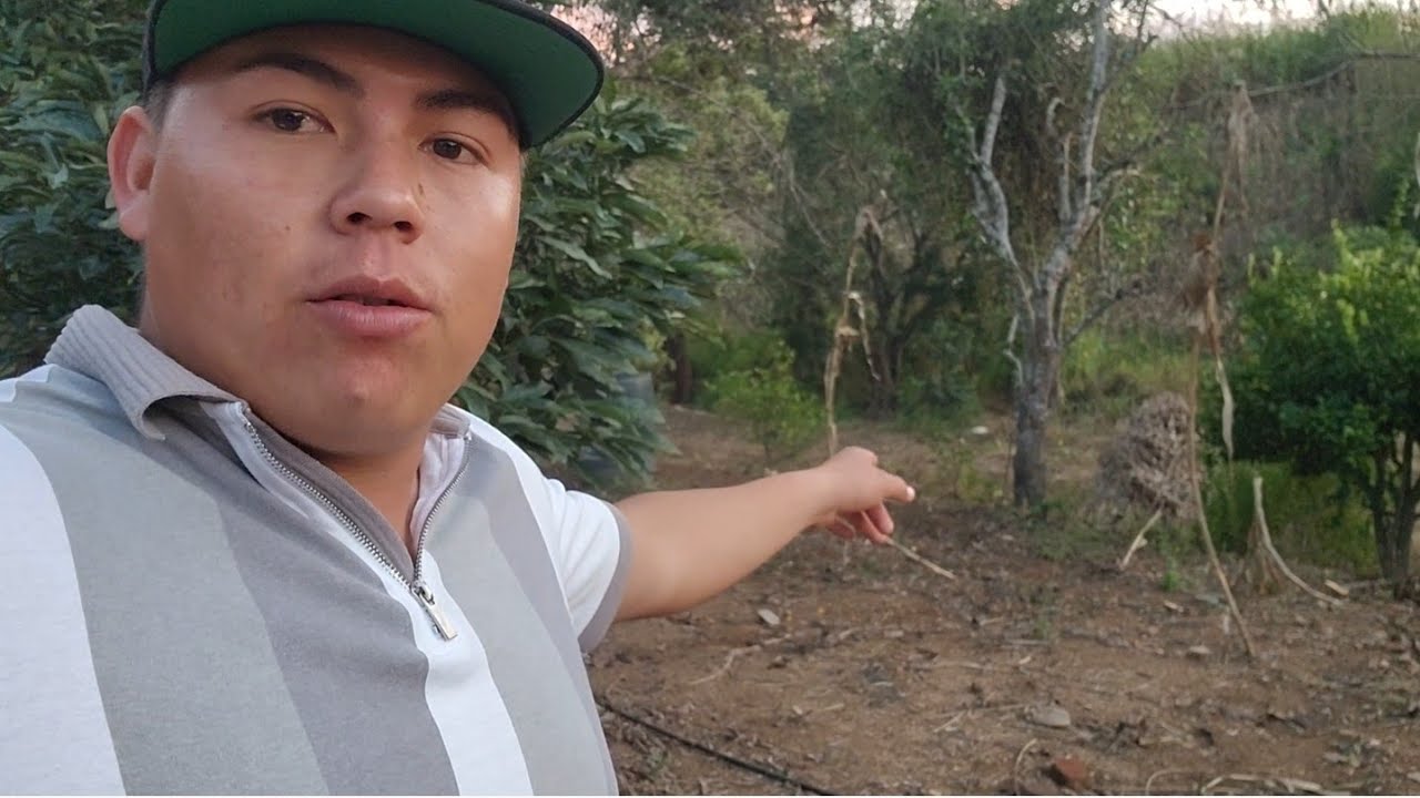 Pensando Seria mente en Aser esto es Necesario esperemos y se Pueda 