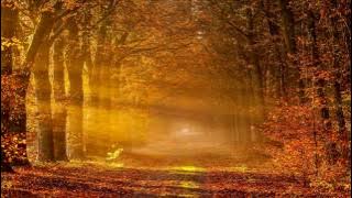 LIETAUS LAŠAI | Robertas Marcinkevičius | DieNmedis