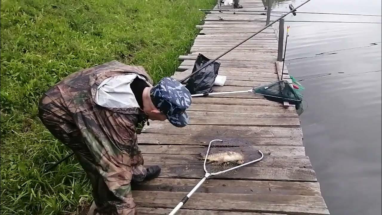 Русфишинг минино платная. Русфишинг минино платная. Пруд минино. Русфишинг минино платная. Минино платная рыбалка.