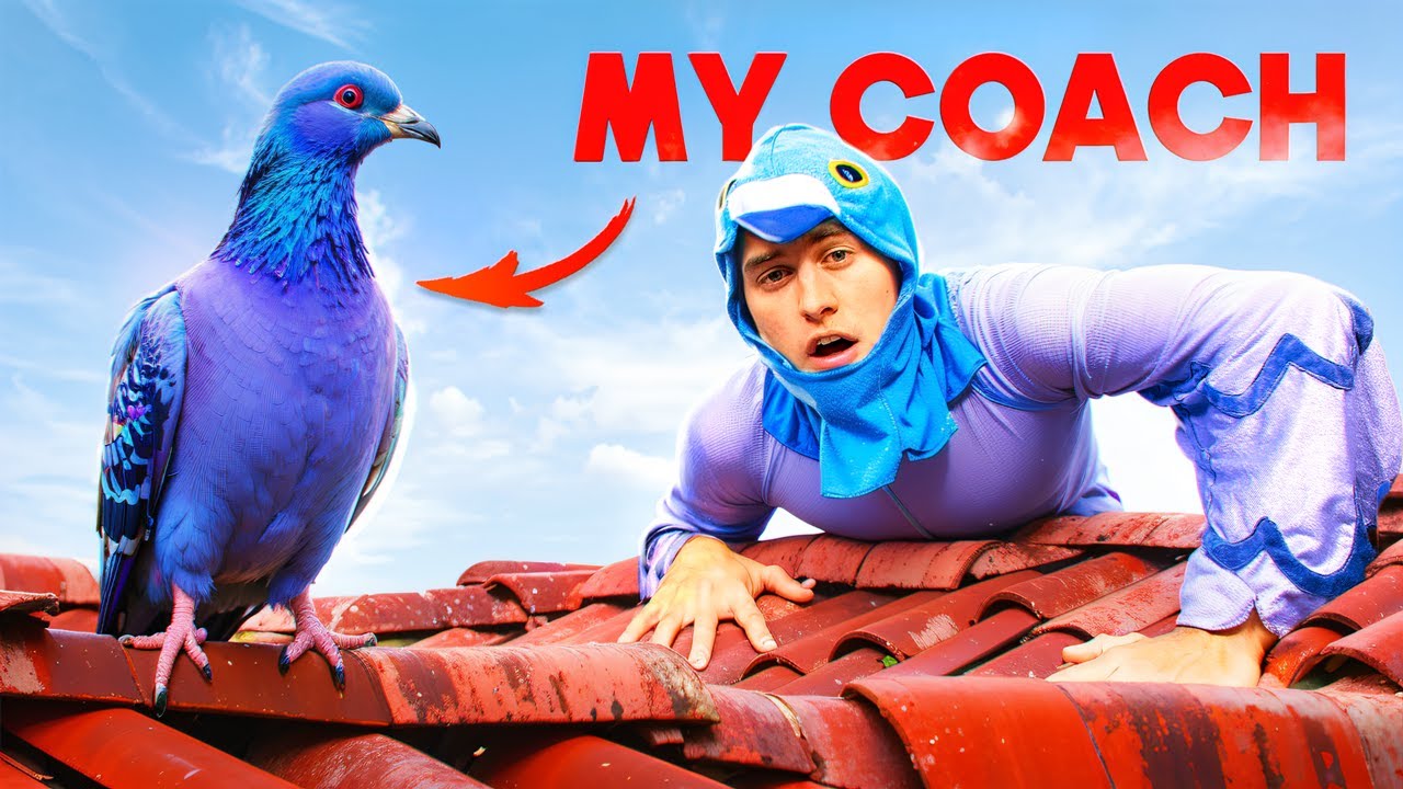 Is Life Better as a Pigeon?