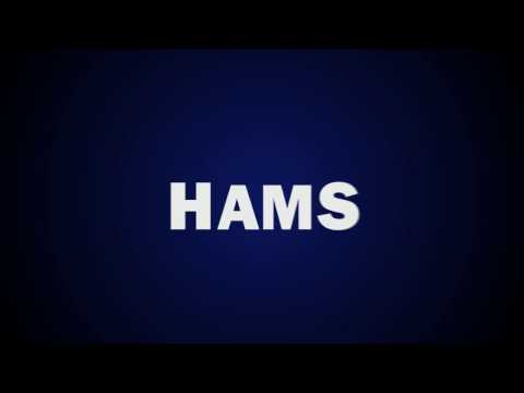 HAMS LOGO片頭