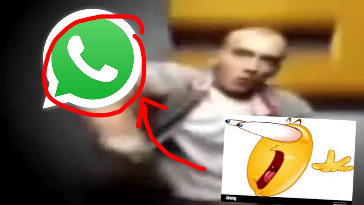 Топ 5 WhatsApp😱😱😱😱😱😱😱😱