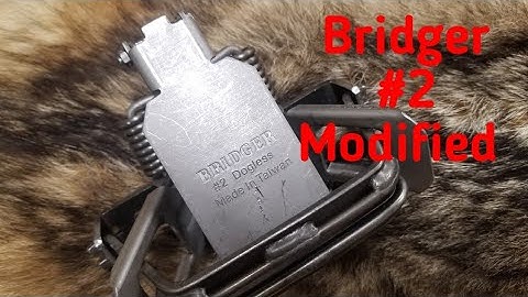 How to setup a Bridger #2 Dogless trap. Initial setup