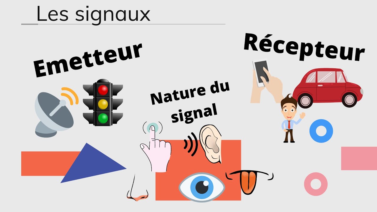 Page De Garde Des Signaux Pour Observer Et Communiquer 6ème - Les signaux - YouTube