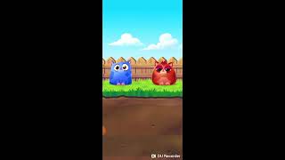 COOKİE CATS BLAST level 55