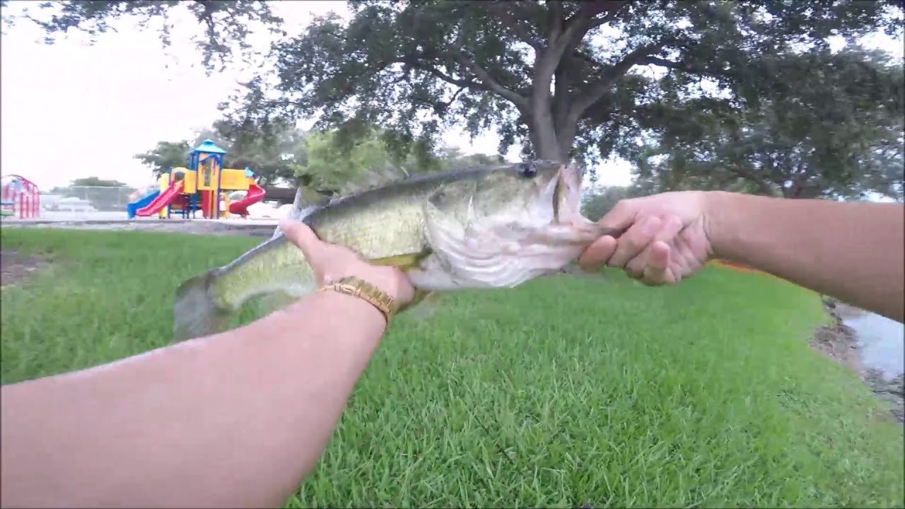 BASS FISHING July 4th 