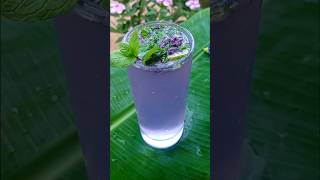 Galaxy Mocktail 🍹😍 #mocktail #testy #flowers #butterfly #viral